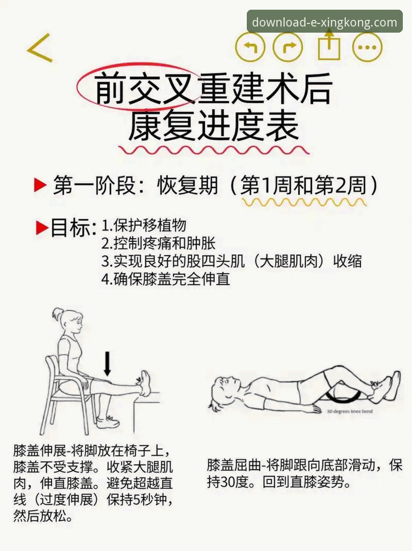 瑞典中场贝里瓦尔手术康复详解：从三条韧带修复到世界杯梦想的韧性科技